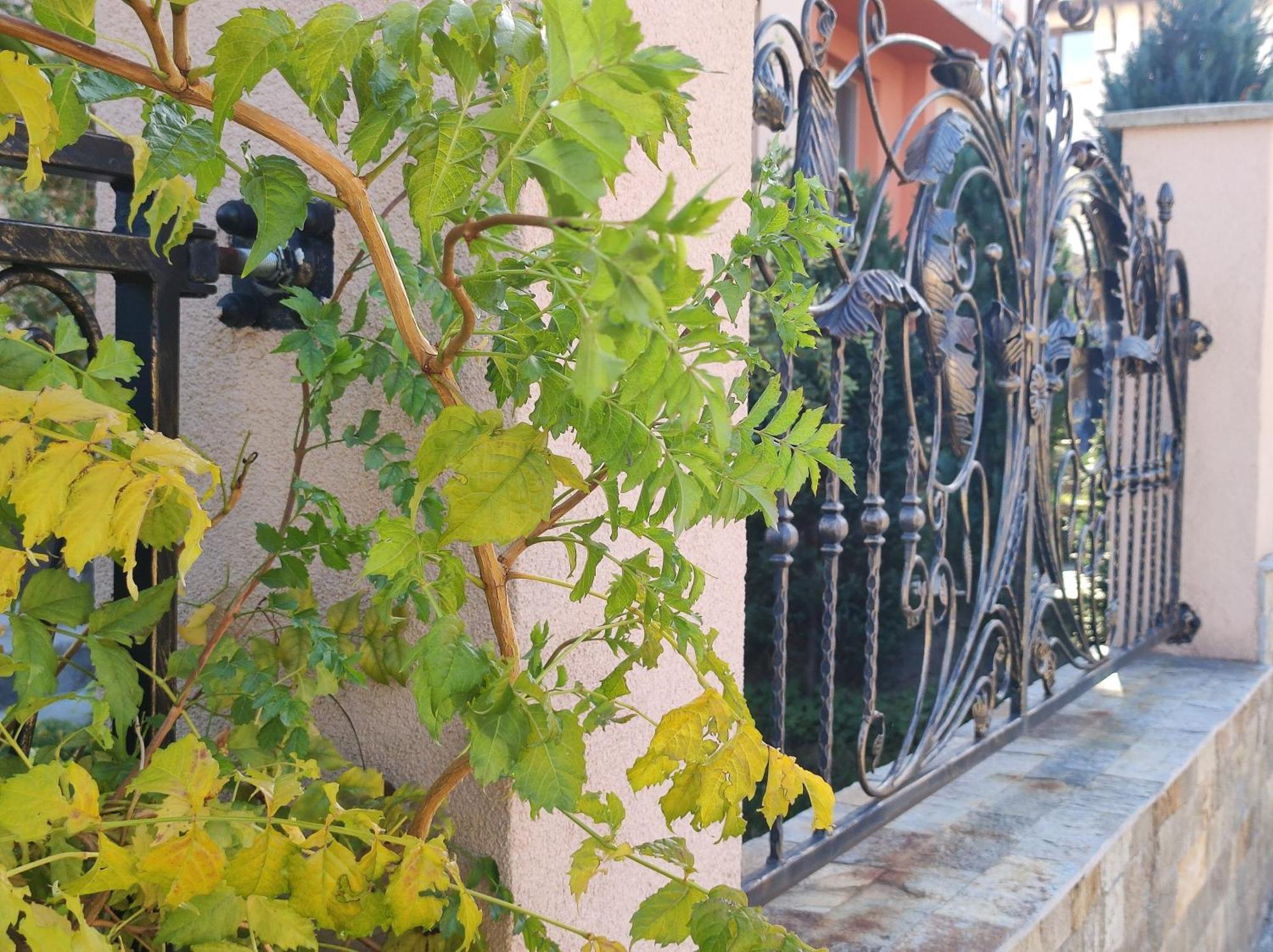 Guest House Via Saparewa Banja Exterior foto